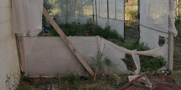 Fuente: Gentileza Carlos Estigarribia