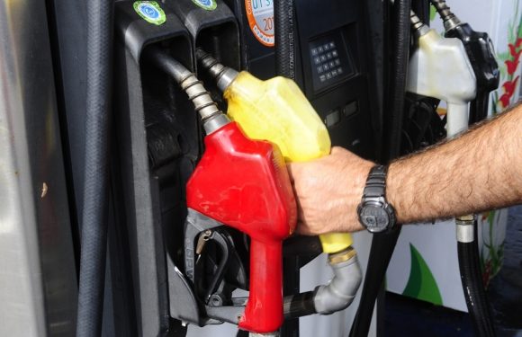 Fuente: EL PAÍS Uruguay