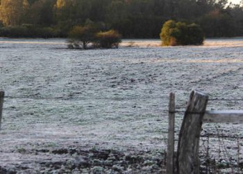 Fotografía: Daniel Rojas