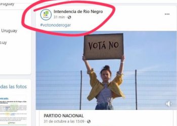 «No me fijé y metí la pata», dijo Linale ante la publicación de un spot sobre la LUC en la página de la IRN.