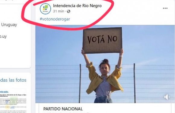 «No me fijé y metí la pata», dijo Linale ante la publicación de un spot sobre la LUC en la página de la IRN.