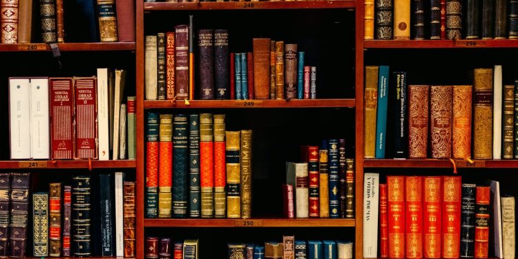 Fray Bentos participó del Encuentro Nacional de Bibliotecas Públicas 2021.