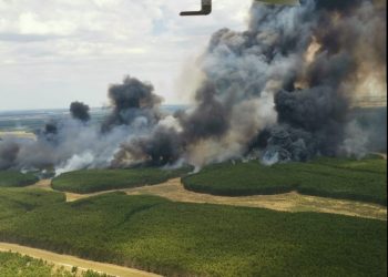 Dos incendios forestales se desataron en Rio Negro por la tarde de hoy.