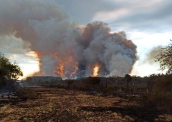 Algorta podría ser evacuado por incendio forestal.