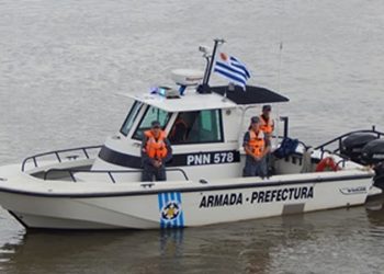 Fuente: Portal de Young