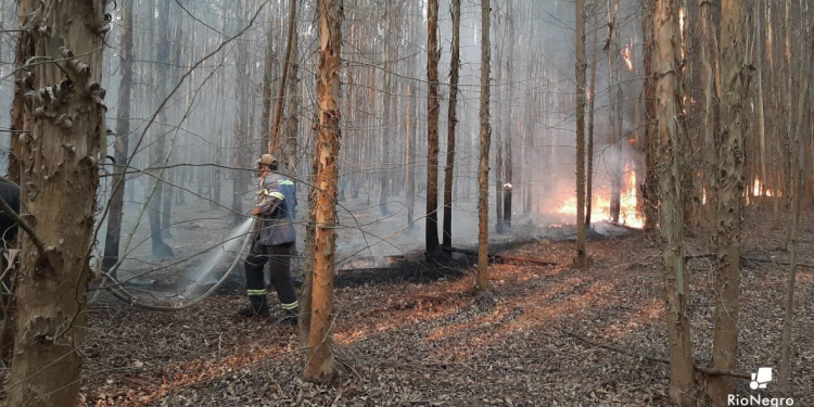 Se reunieron los CECOED de Río Negro y Paysandú.