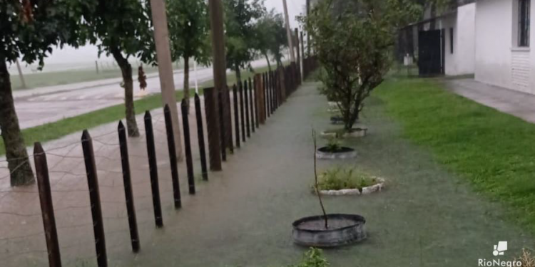 Fuente: IRN