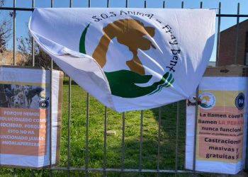 SOS Animal realizará castraciones económicas.