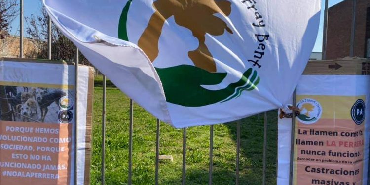 SOS Animal realizará castraciones económicas.