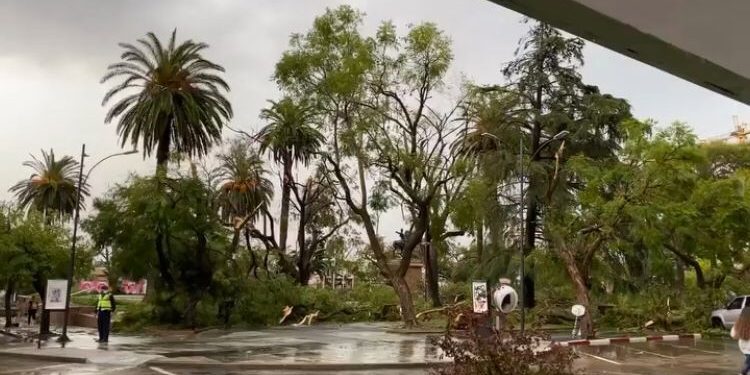 Fuertes vientos generaron destrozos en Mercedes y zona del Litoral del país.