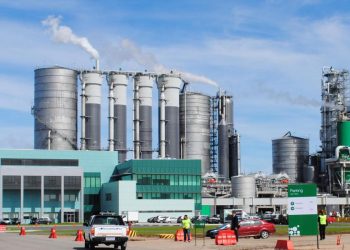 Fuente: el Eco digital