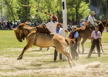 Fuente: moracontenidos