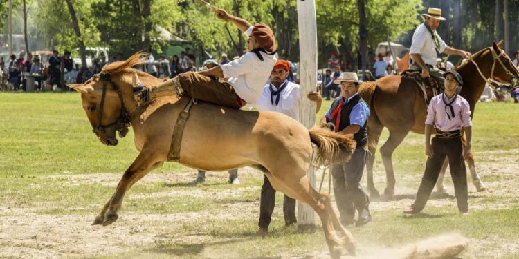 Fuente: moracontenidos