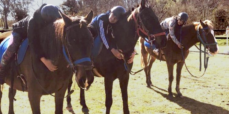 Equinoterapia trabaja para mejorar sus instalaciones y atender más personas.