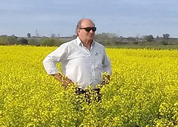 Los campos agrícolas ganaderos suben un 30% su cotización en el litoral – Tardáguila.