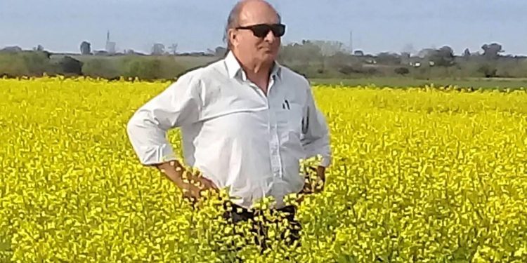 Los campos agrícolas ganaderos suben un 30% su cotización en el litoral – Tardáguila.