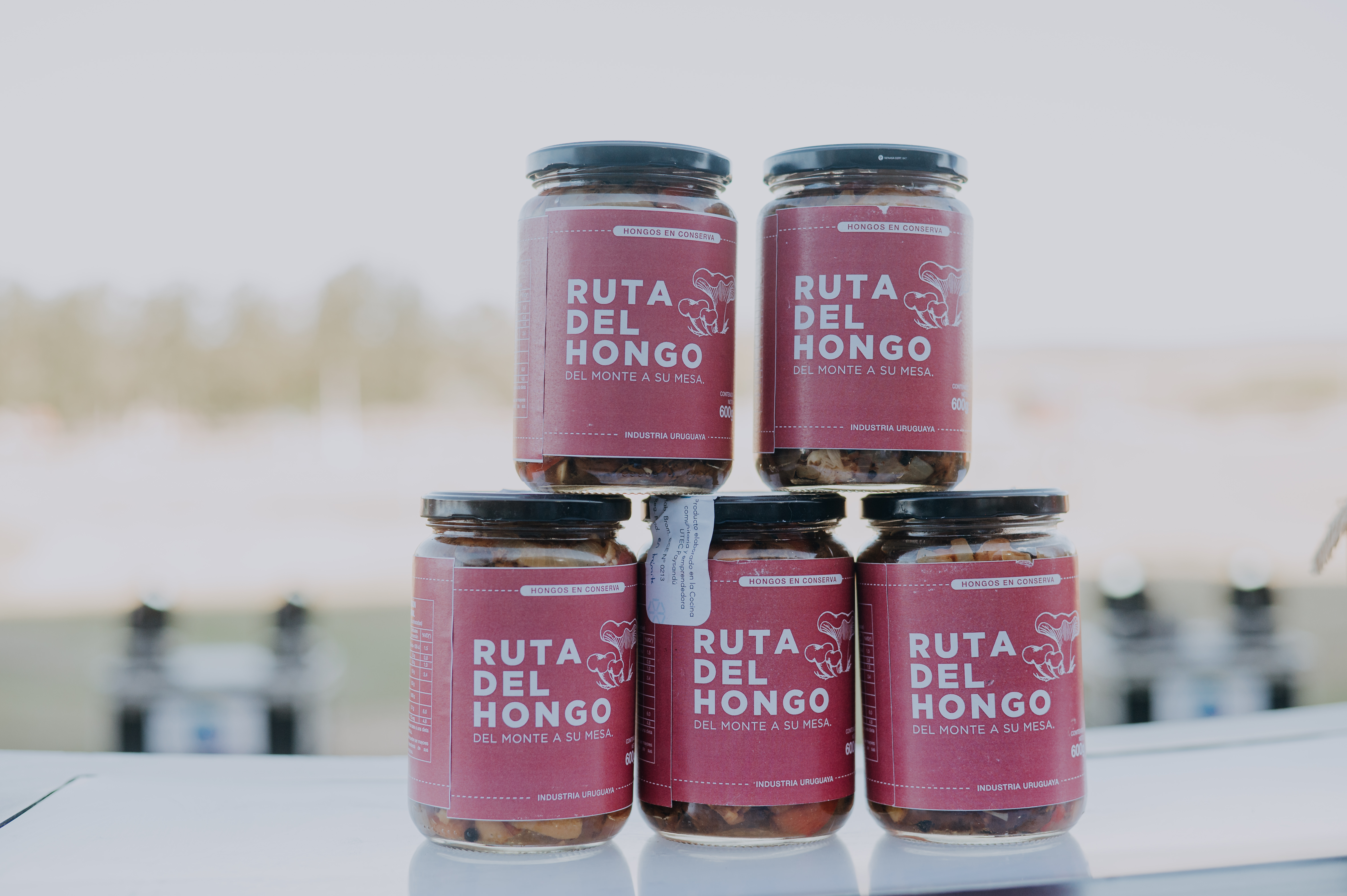 La Ruta del Hongo y Montes del Plata presentes en evento nacional de hongos.