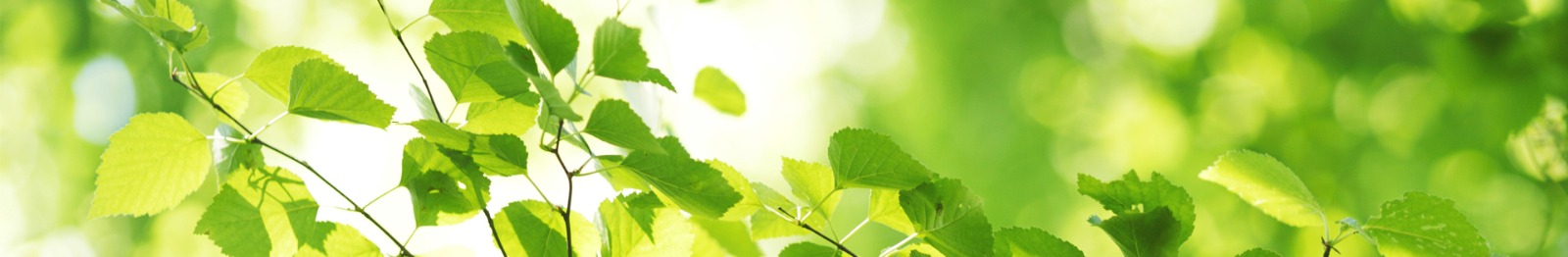 UPM busca especialista en servicio al cliente.