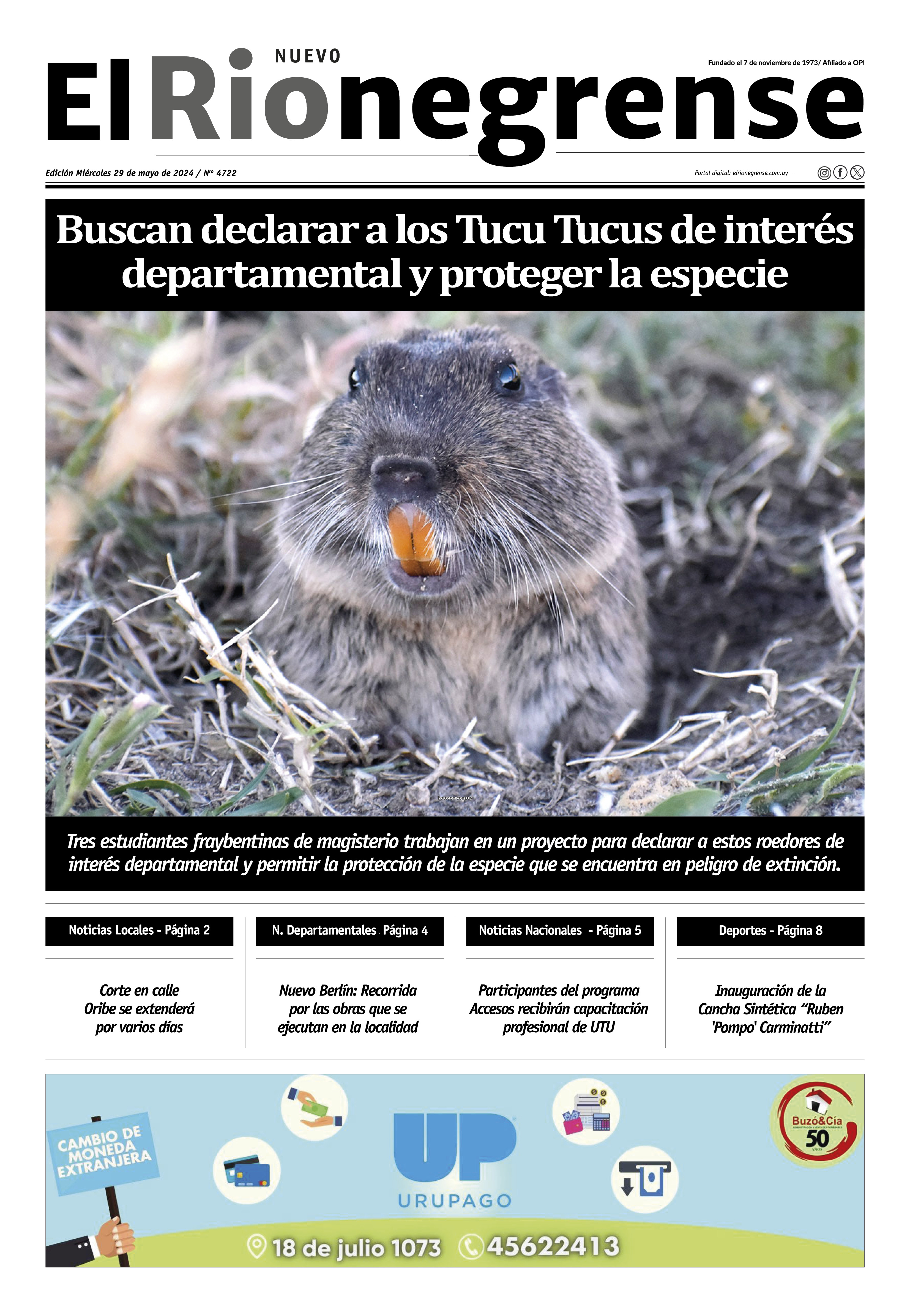 Buscan declarar a los Tucu Tucus de interés departamental y proteger la especie.
