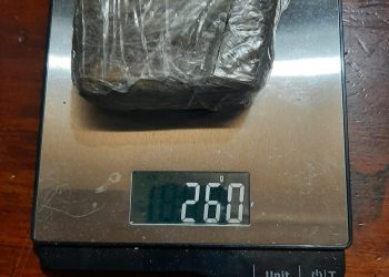 Fuente: JPRN