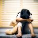 Explotación Sexual en niños, niñas y adolescentes.