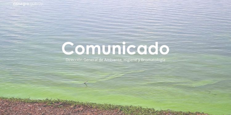 Advertencia por floración de cianobacterias en el balneario Las Cañas.