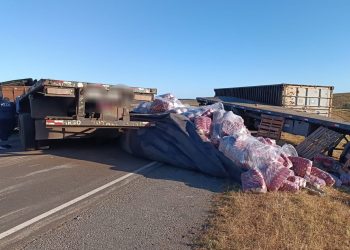 Fotografía: Policía Caminera