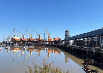 Nueva operación de exportación de madera desde el Puerto de Fray Bentos