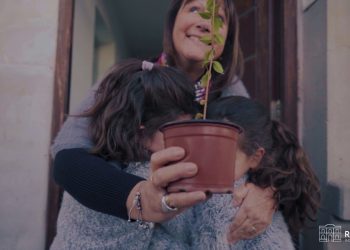 Plan Guido: Río Negro vuelve a brotar