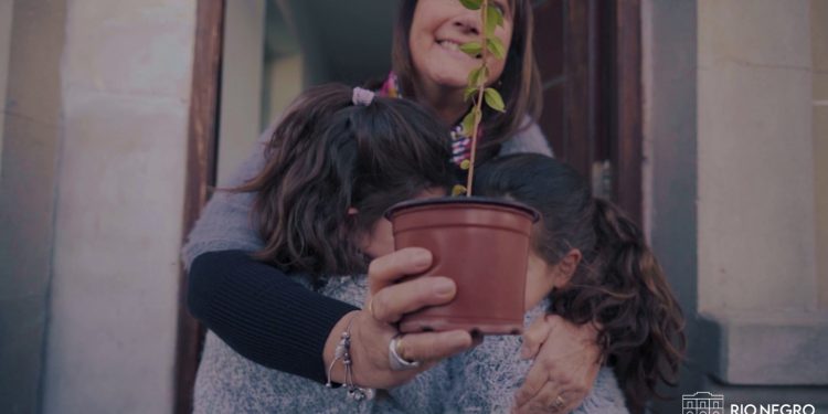 Plan Guido: Río Negro vuelve a brotar