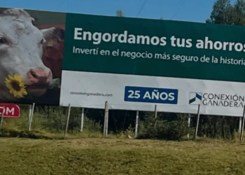 DGI le reclama impuestos a Conexión Ganadera