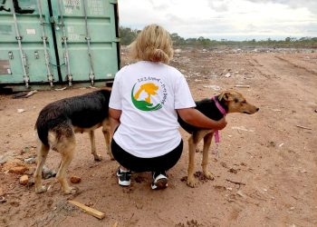 El abandono tiene un rostro: el de las voluntarias exhaustas de S.O.S. Animal