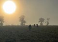 El turismo de caza y el debate ambiental