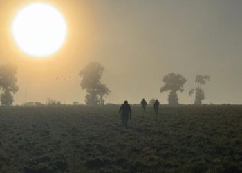 El turismo de caza y el debate ambiental