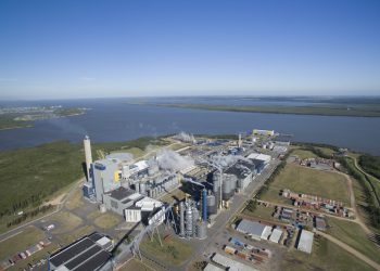 Informe de CARU: detectaron más incumplimientos en la desembocadura del Gualeguaychú que en la planta de UPM