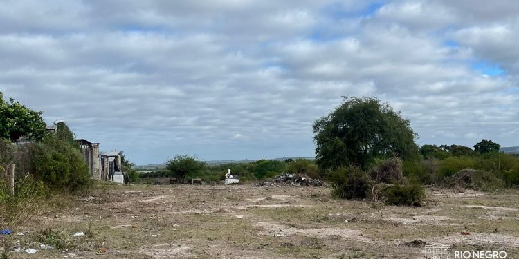 Se realiza limpieza de predio lindero al Centro de Barrio J3 tras planteo de vecinos.