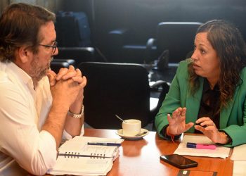 Anuncian instalación de planta fotovoltaica en Río Negro y destacan su impacto en el empleo