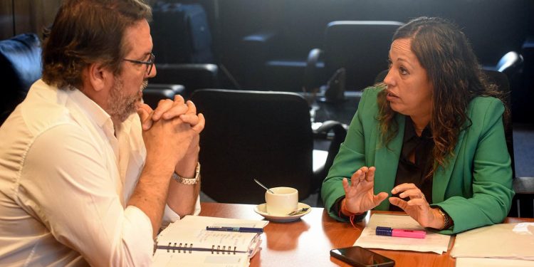 Anuncian instalación de planta fotovoltaica en Río Negro y destacan su impacto en el empleo