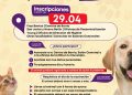 Río Negro abre inscripciones para jornadas de castraciones gratuitas en todo el departamento