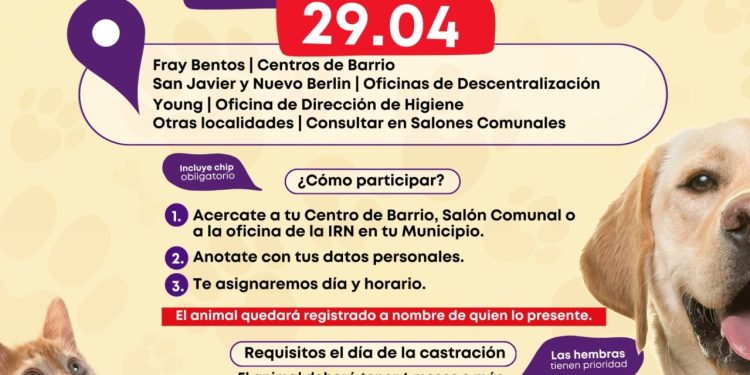 Río Negro abre inscripciones para jornadas de castraciones gratuitas en todo el departamento